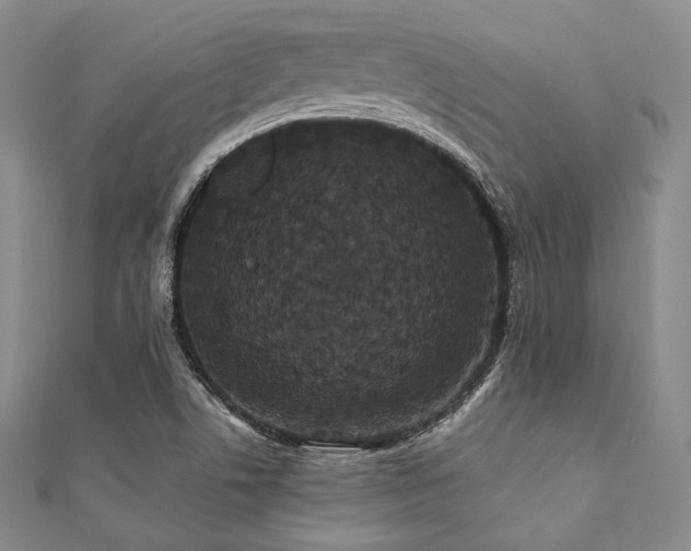 X0000112001506200908031218