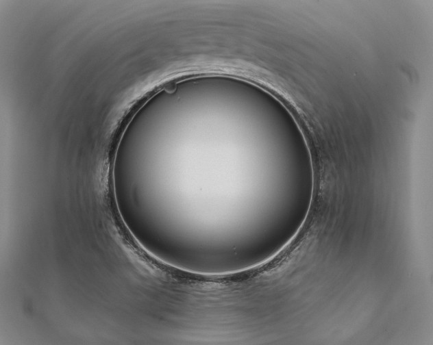 X0000112001507200908031218