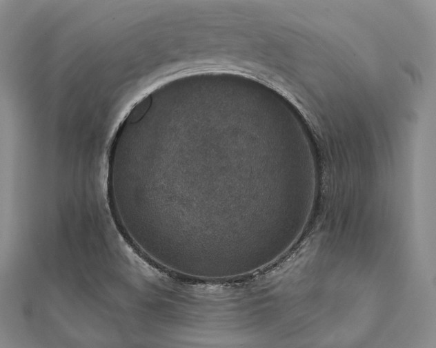 X0000112001508200908031218