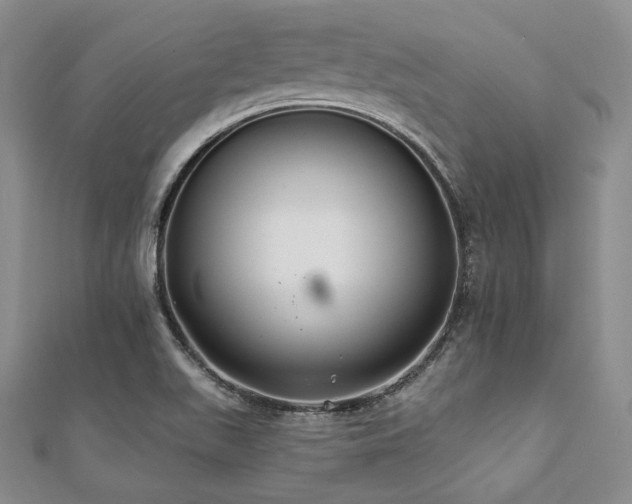 X0000112001511200908031218