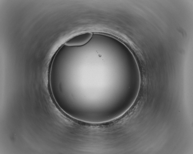 X0000112001512200908031218