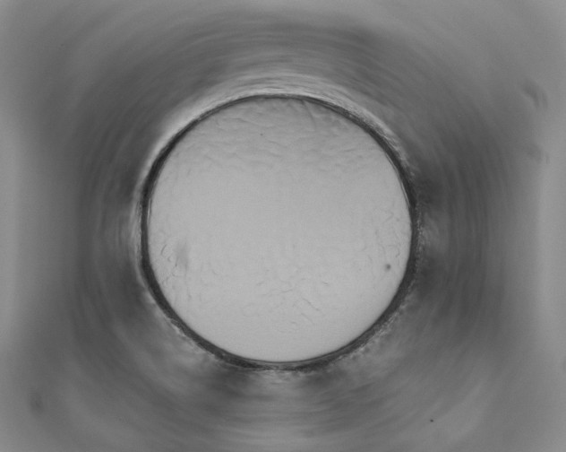 X0000112001514200908031218