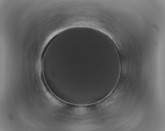 X0000112001515200908031218