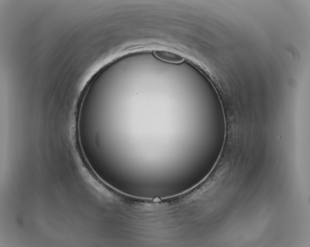 X0000112001518200908031218