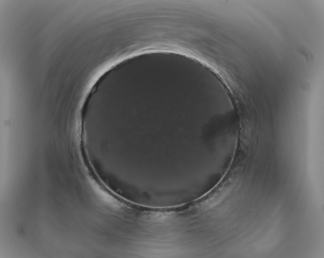 X0000112001519200908031218