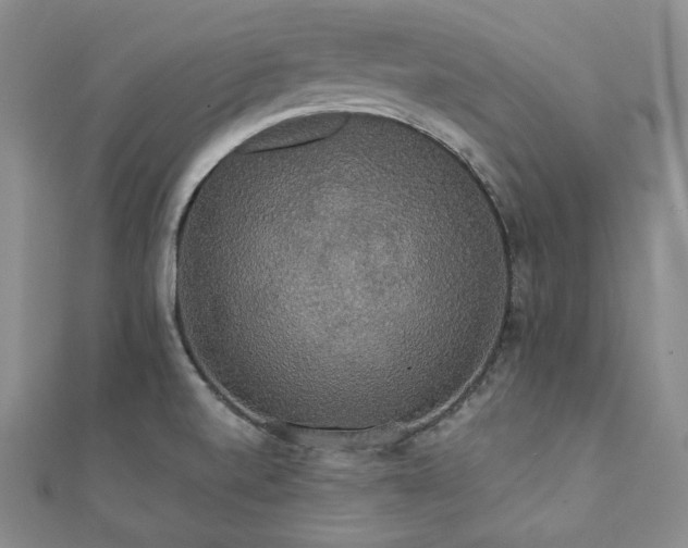 X0000112001520200908031218