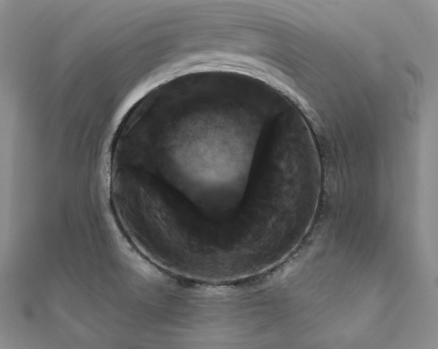 X0000112001522200908031218