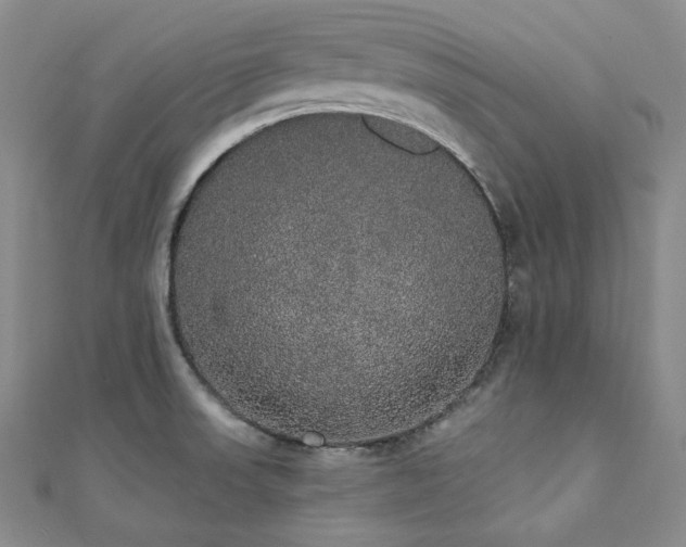 X0000112001523200908031218