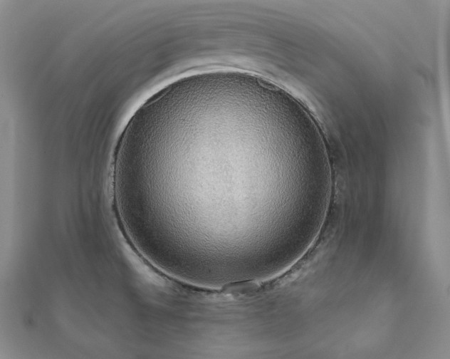 X0000112001524200908031218