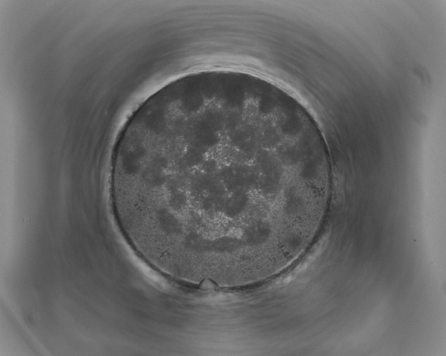 X0000112001525200908031218