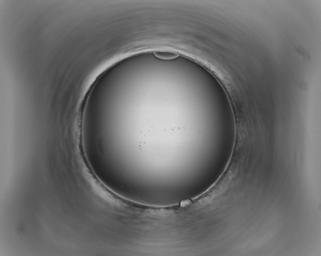 X0000112001526200908031218