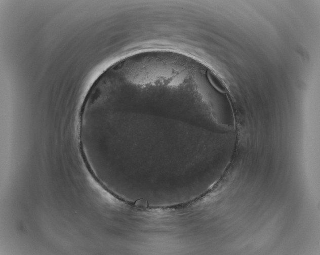 X0000112001527200908031218