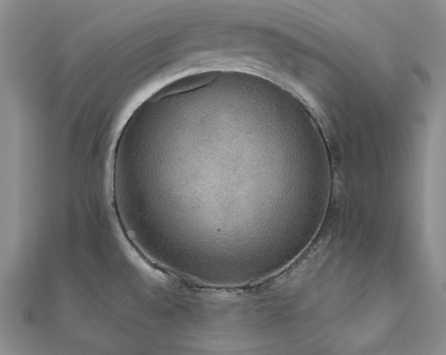 X0000112001528200908031218