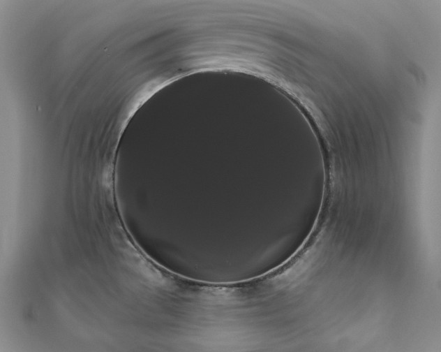 X0000112001529200908031218