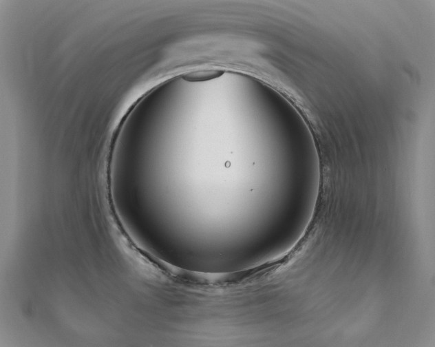 X0000112001530200908031218