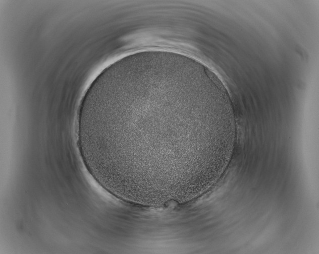 X0000112001531200908031218