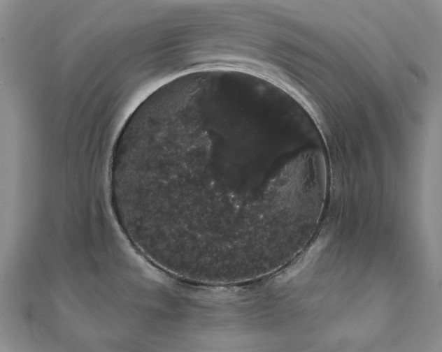 X0000112001533200908031218