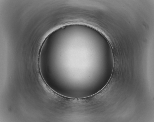 X0000112001534200908031218