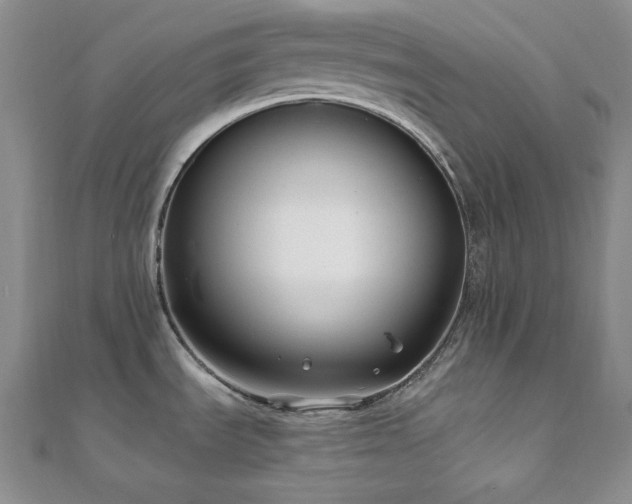 X0000112001535200908031218