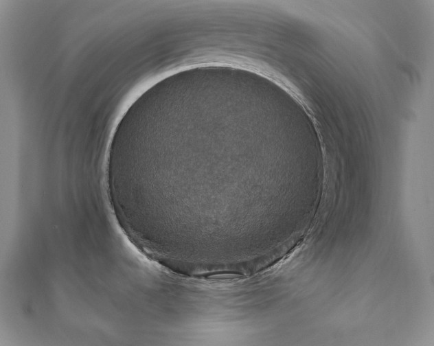 X0000112001536200908031218