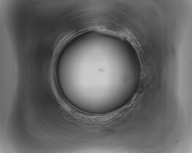 X0000112000001200908101331