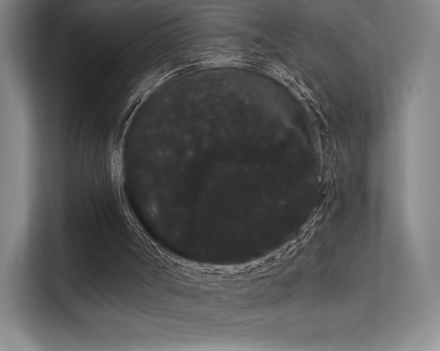 X0000112000002200908101331