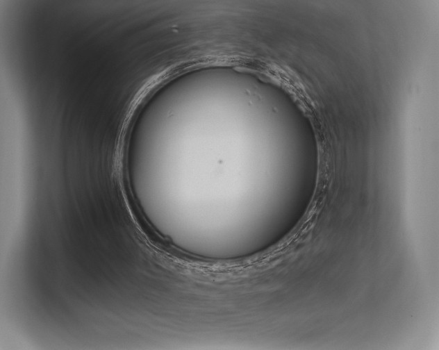 X0000112000003200908101331