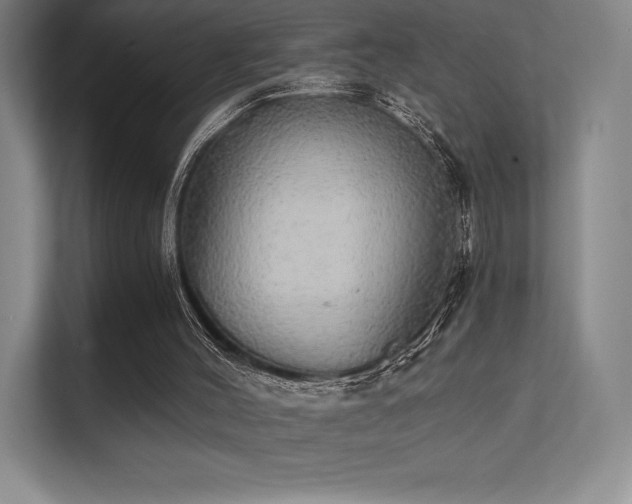 X0000112000004200908101331