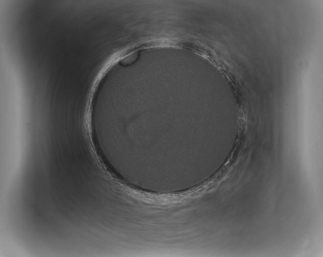 X0000112000006200908101331