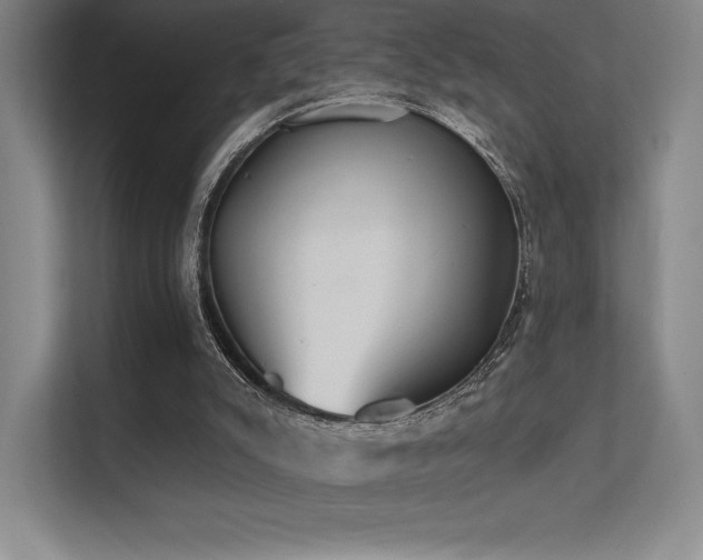 X0000112000007200908101331