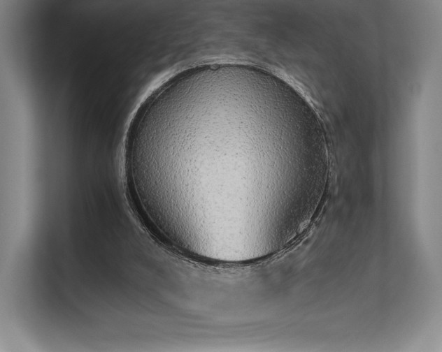 X0000112000008200908101331