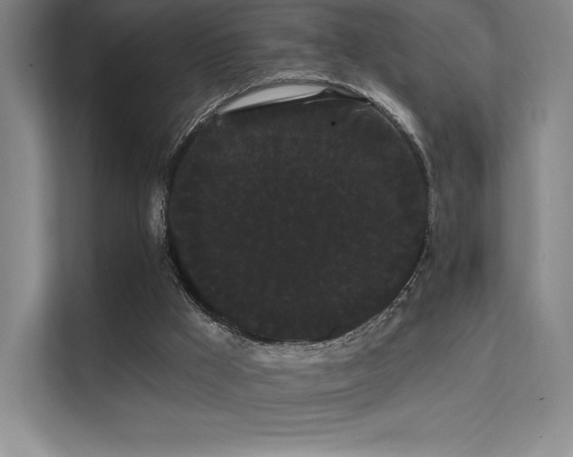 X0000112000009200908101331