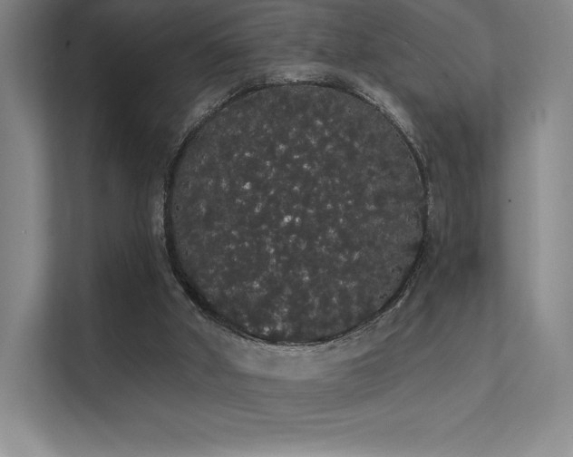 X0000112000010200908101331