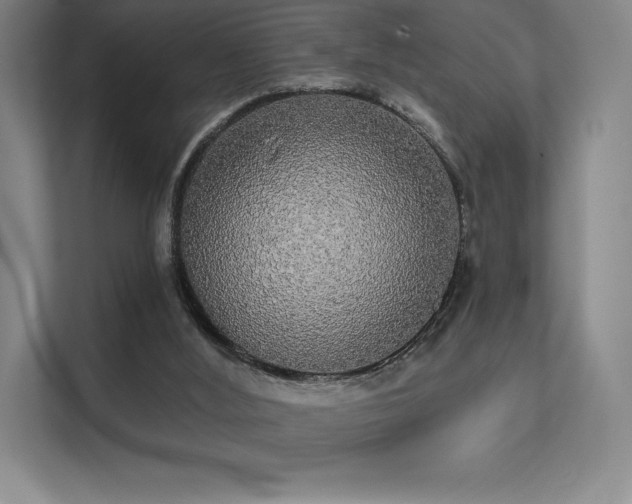 X0000112000012200908101331