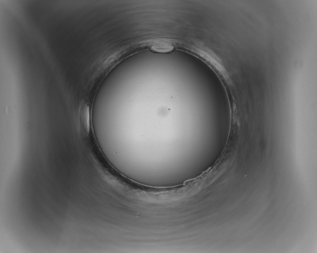 X0000112000013200908101331