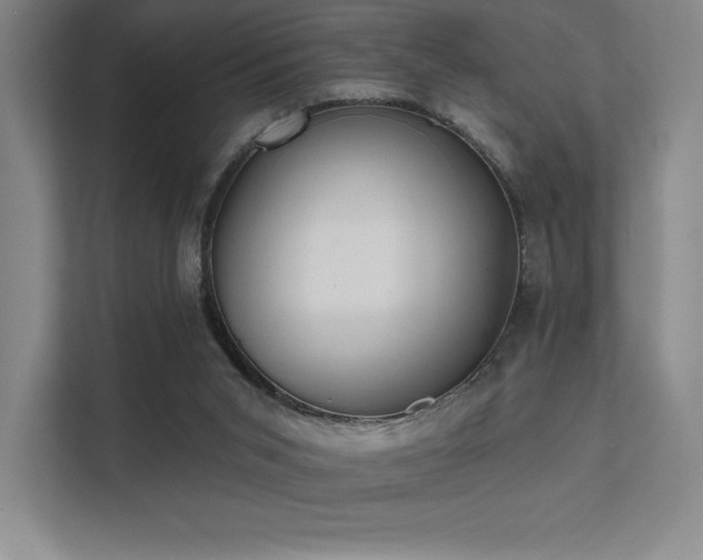 X0000112000015200908101331