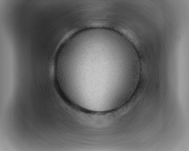 X0000112000016200908101331