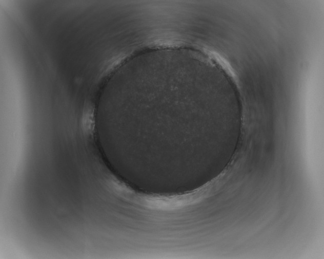 X0000112000017200908101331