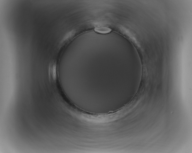 X0000112000019200908101331