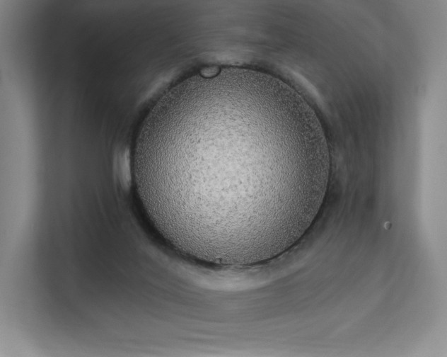 X0000112000020200908101331