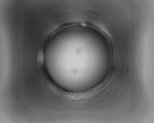 X0000112000021200908101331