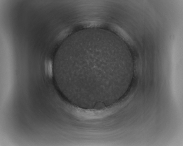 X0000112000022200908101331