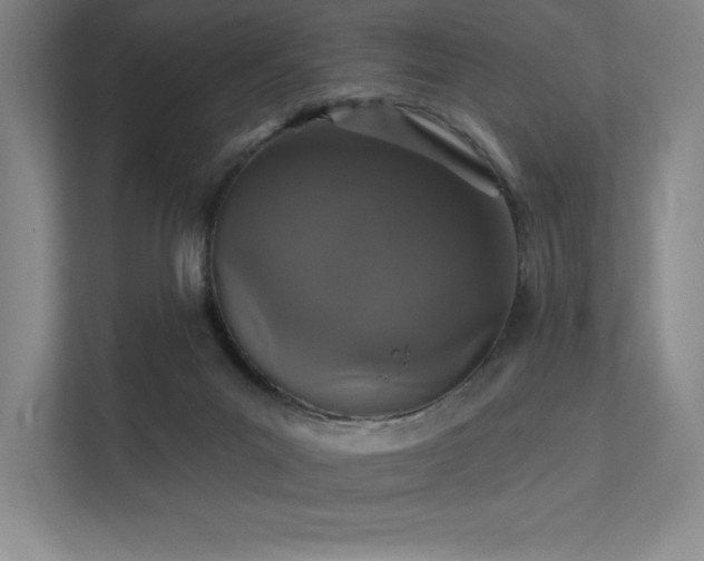 X0000112000023200908101331