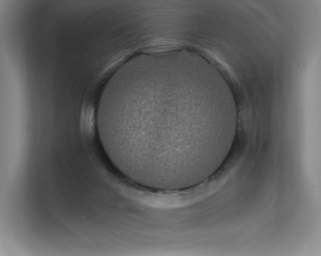 X0000112000024200908101331