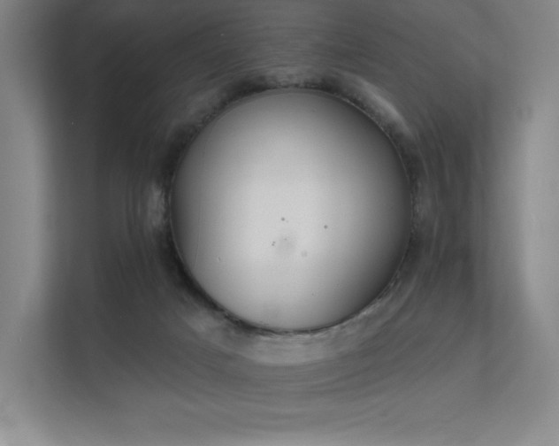 X0000112000025200908101331