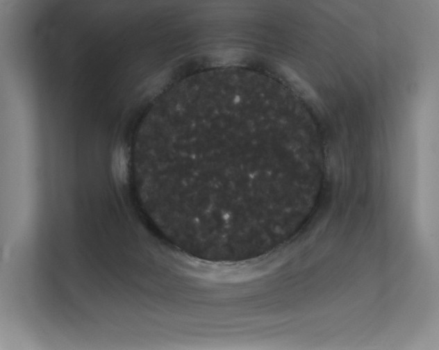 X0000112000026200908101331