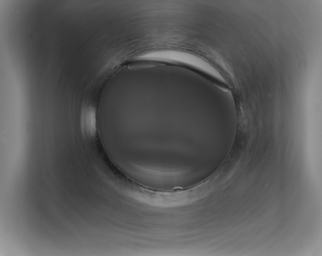 X0000112000027200908101331