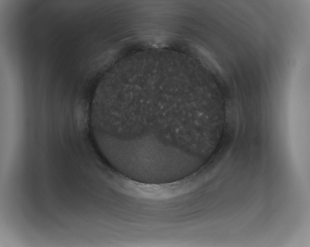 X0000112000030200908101331