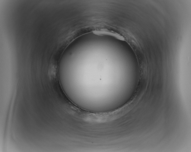 X0000112000033200908101331