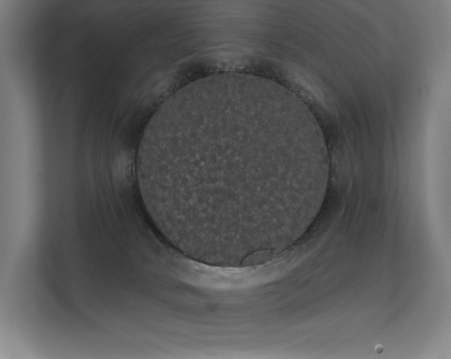 X0000112000034200908101331